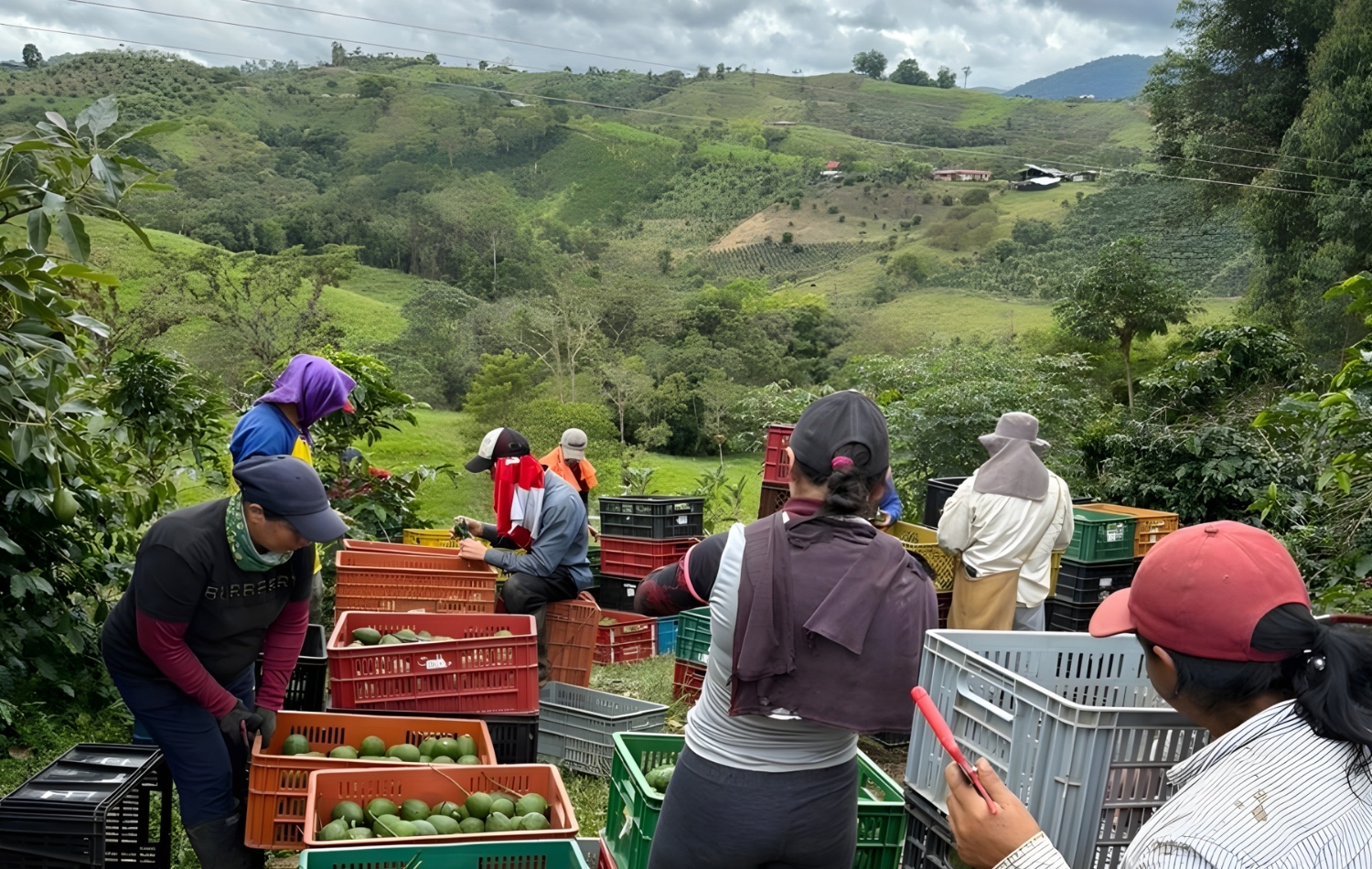 cisp agrocadenas 2026 colombia header