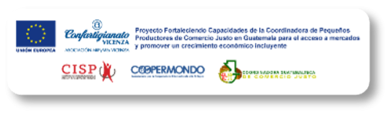 compymes logo 1.png