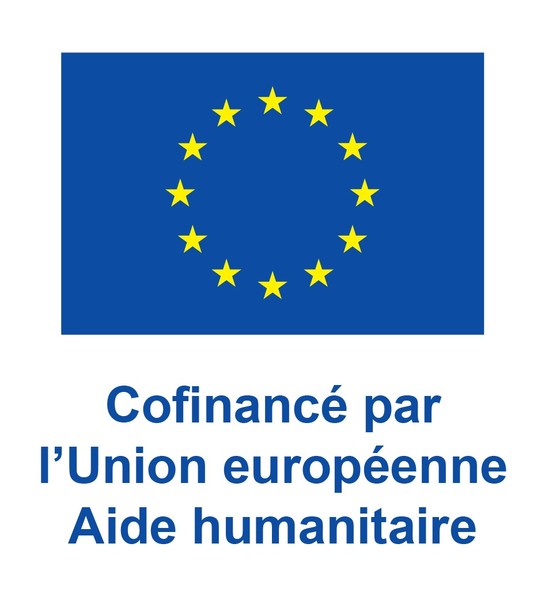 fr-co-funded-by-eu-ha_pos.jpg