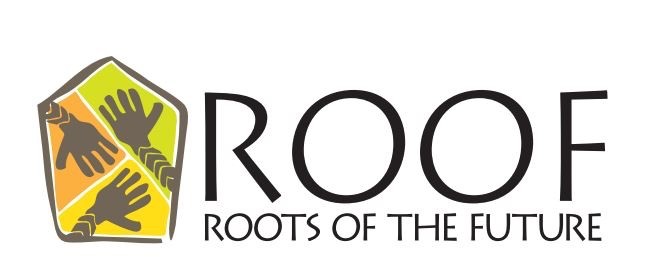 roof_maeci_project_logo-5.jpg