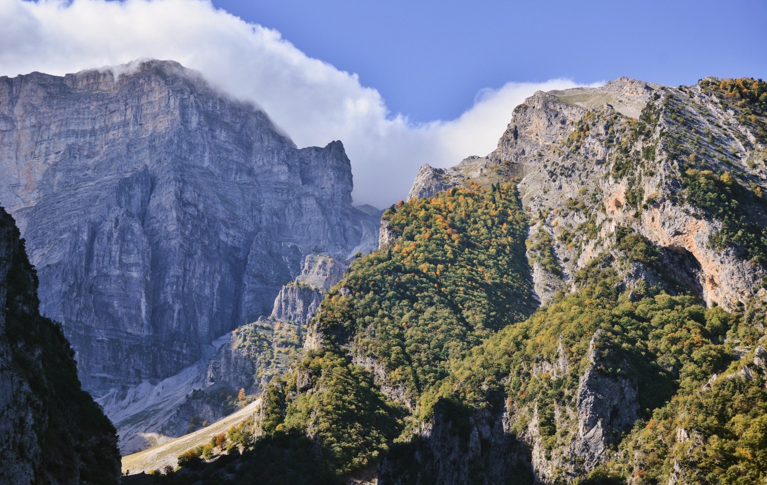 albania_cover-1.jpg
